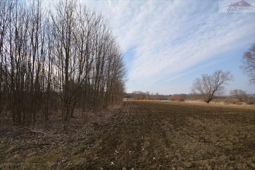 Działka rekreacyjna na sprzedaż Wara 2 955m2 Foto 2