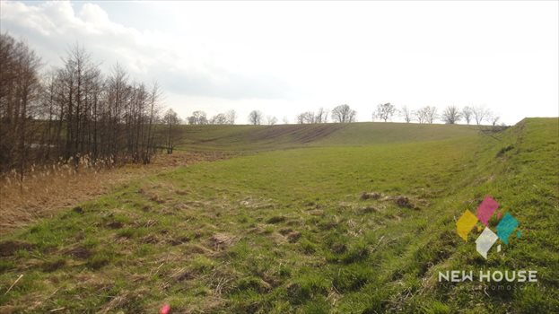 Działka budowlana na sprzedaż Wipsowo 12 500m2 Foto 5
