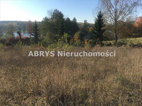 Działka budowlana na sprzedaż Tumiany 3 000m2 Foto 2