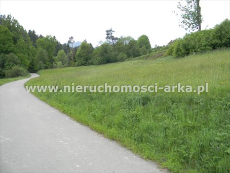 Działka budowlana na sprzedaż Mszana Dolna 2 400m2 Foto 1