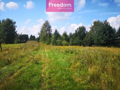 Działka budowlana na sprzedaż Orzechowo 25 000m2 Foto 1