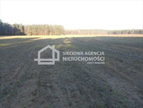 Działka budowlana na sprzedaż Rokity 1 246m2 Foto 8