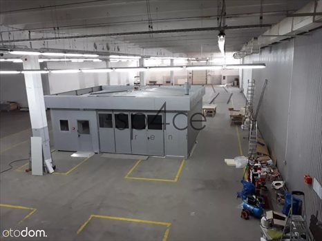 Lokal użytkowy na wynajem Olsztyn 2 240m2 Foto 5