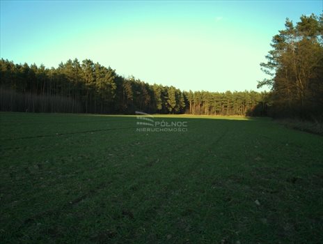 Działka rekreacyjna na sprzedaż Bardzynin 1 132m2 Foto 5