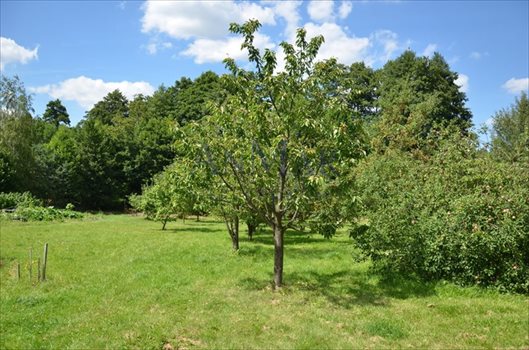 Działka budowlana na sprzedaż Krakowiany, Krakowiańska 2 700m2 Foto 1