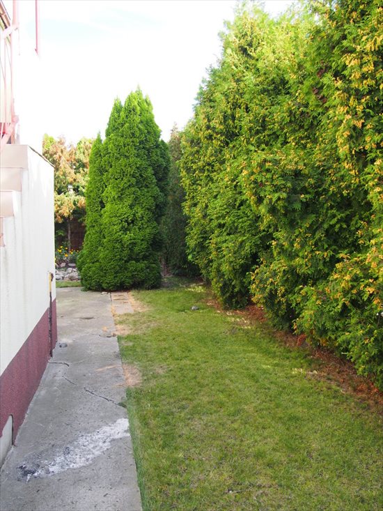 Dom na sprzedaż Inowrocław, Rąbin Osiedle 200m2 Foto 3