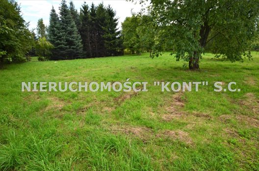 Działka budowlana na sprzedaż Giebułtów, Graniczna 2 000m2 Foto 3