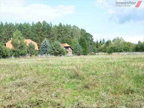 Działka budowlana na sprzedaż Wołczkowo 3 000m2 Foto 5