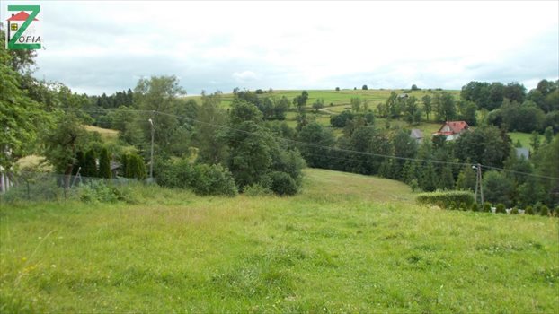 Działka budowlana na sprzedaż RABKA-ZDRÓJ 1 342m2 Foto 4