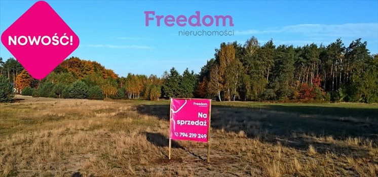 Działka budowlana na sprzedaż Bełchów 13 500m2 Foto 1