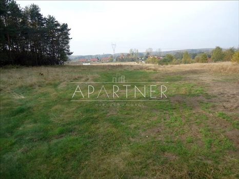 Działka budowlana na sprzedaż Łódź 10 976m2 Foto 6