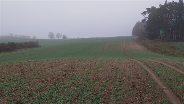 Działka gospodarstwo rolne na sprzedaż Ełk 7 000 000m2 Foto 5
