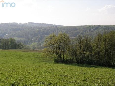 Działka budowlana na sprzedaż Kielnarowa 1 450m2 Foto 9