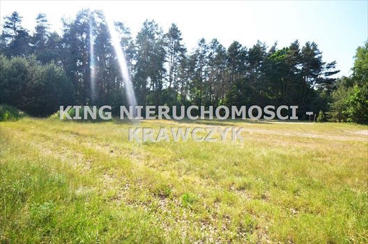 Działka inna na sprzedaż Szczecin, Jezierzyce 1 464m2 Foto 4