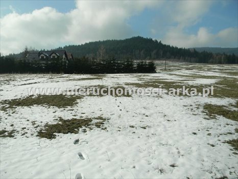 Działka budowlana na sprzedaż Wilczyce 2 400m2 Foto 2