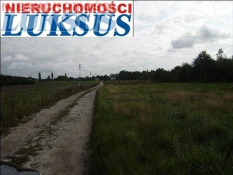 Działka budowlana pod dzierżawę Prażmów, Nowy Prażmów, Sporna 25 806m2 Foto 6