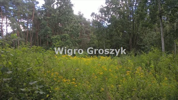Działka budowlana na sprzedaż Marki, Pustelnik 2 031m2 Foto 2