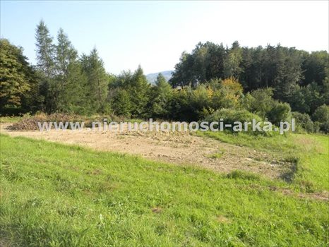 Działka budowlana na sprzedaż Limanowa, Sowliny 3 400m2 Foto 4