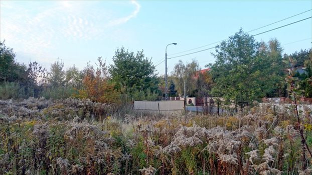 Działka inwestycyjna na sprzedaż Kajetany 14 916m2 Foto 10