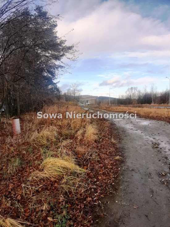 Działka inna na sprzedaż Wałbrzych, Biały Kamień 1 300m2 Foto 3
