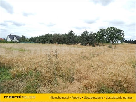 Działka inna na sprzedaż Staw, Chełm 17 400m2 Foto 2