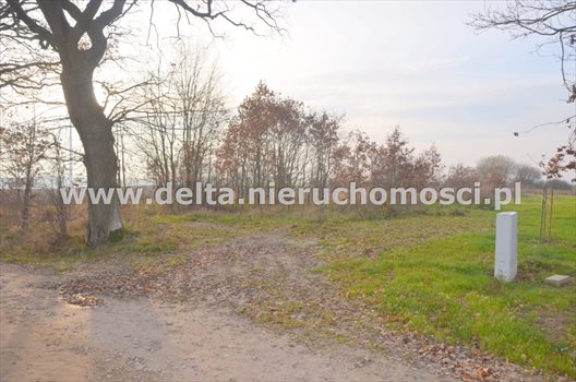 Działka budowlana na sprzedaż Pieńkowo 665m2 Foto 2