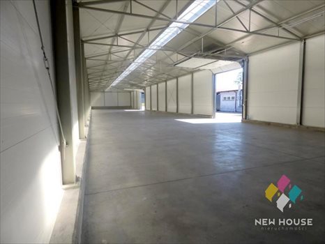 Lokal użytkowy na wynajem Dorotowo 800m2 Foto 6