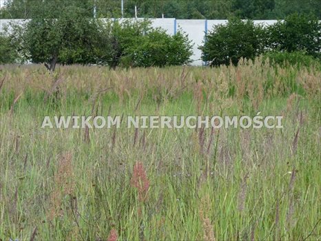 Działka budowlana na sprzedaż Skierniewice 2 990m2 Foto 1