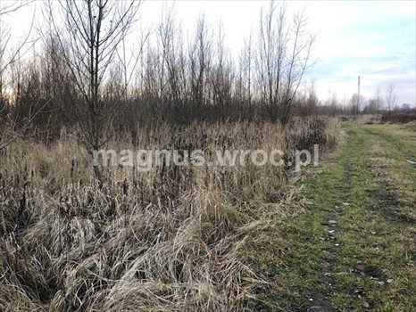 Działka budowlana na sprzedaż Siechnice 2 772m2 Foto 1