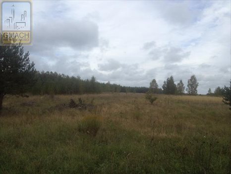 Działka budowlana na sprzedaż Wilimy 62 700m2 Foto 6