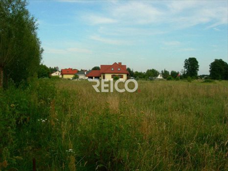 Działka budowlana na sprzedaż Tomaszowice-Kolonia 18 400m2 Foto 3