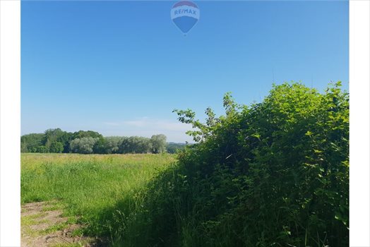 Działka budowlana na sprzedaż Grodziec 1 220m2 Foto 12