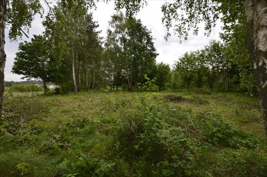 Działka budowlana na sprzedaż Bojano, Las, Tereny rekreacyjne, Lesoki 1 500m2 Foto 2