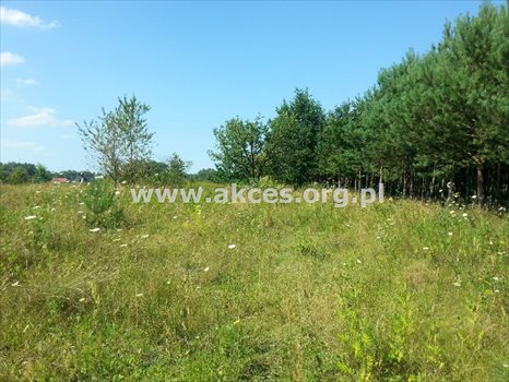 Działka budowlana na sprzedaż Gabryelin 1 000m2 Foto 5