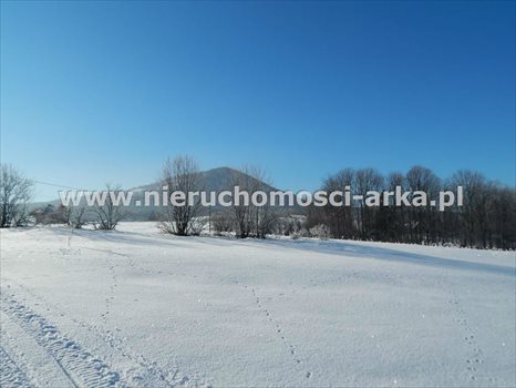 Działka budowlana na sprzedaż Mszana Dolna 2 300m2 Foto 3