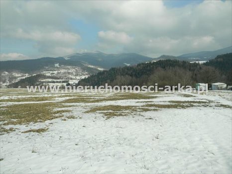 Działka budowlana na sprzedaż Wilczyce 2 400m2 Foto 3