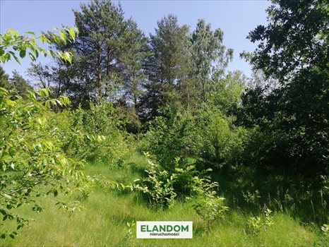 Działka budowlana na sprzedaż Józefów 811m2 Foto 5
