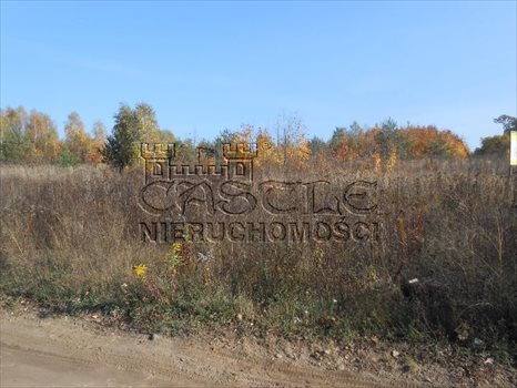 Działka budowlana na sprzedaż Poznań, Morasko, Jaśkowiaka 1 260m2 Foto 4
