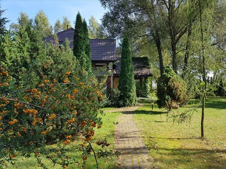 Dom na sprzedaż Żółwin 302m2 Foto 3