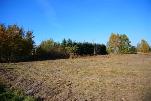Działka budowlana na sprzedaż Jastrzębnik 1 500m2 Foto 3