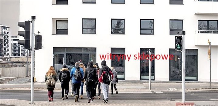 Lokal użytkowy na wynajem Poznań, Grunwald, Bułgarska 59 159m2 Foto 2