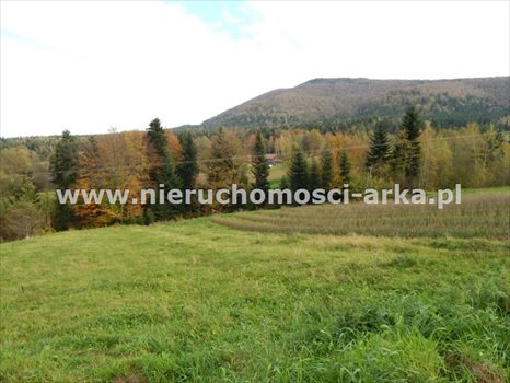 Działka budowlana na sprzedaż Kasina Wielka 1 500m2 Foto 3