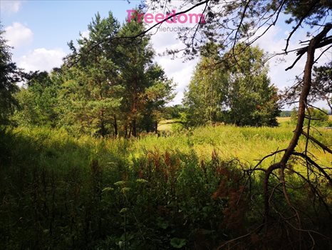 Działka budowlana na sprzedaż Orzechowo 24 300m2 Foto 13