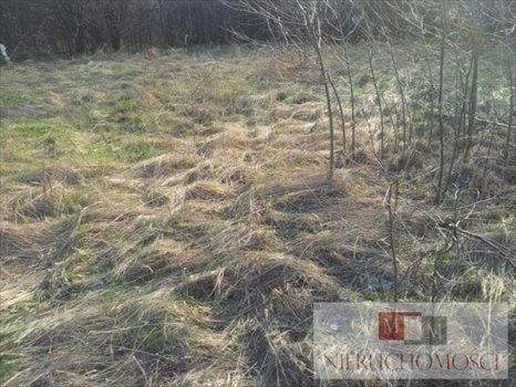 Działka budowlana na sprzedaż Kotórz Mały 1 623m2 Foto 3