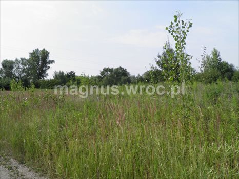 Działka budowlana na sprzedaż Siechnice 2 772m2 Foto 9