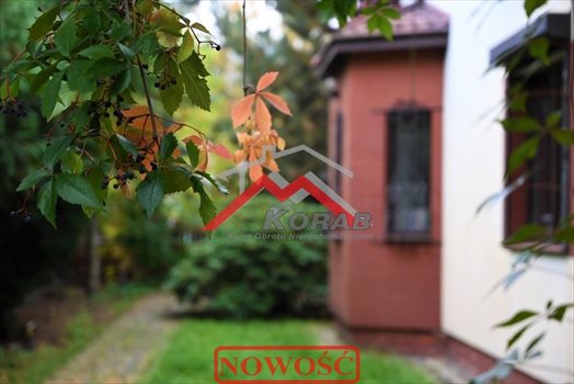 Dom na sprzedaż Dąbrowa, Dąbrowa 256m2 Foto 1