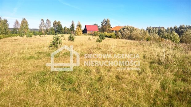 Działka budowlana na sprzedaż Łapalice 1 006m2 Foto 4