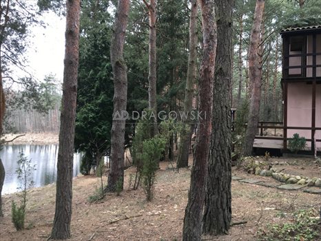 Działka rekreacyjna na sprzedaż Wólka Mlęcka 4 500m2 Foto 5