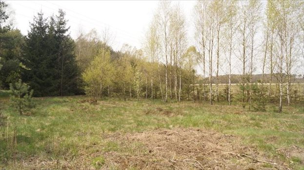 Dom na sprzedaż Tabory-Rzym 60m2 Foto 6