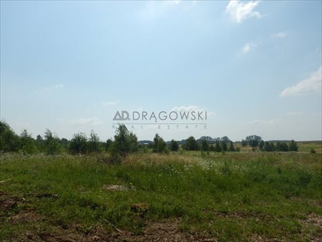 Działka budowlana na sprzedaż Ostrowin 1 500m2 Foto 4